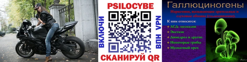 MEGA как войти  Приволжский  Псилоцибиновые грибы мицелий 